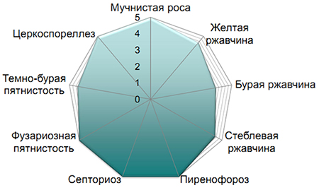 Спектр действия фунгицида Инпут